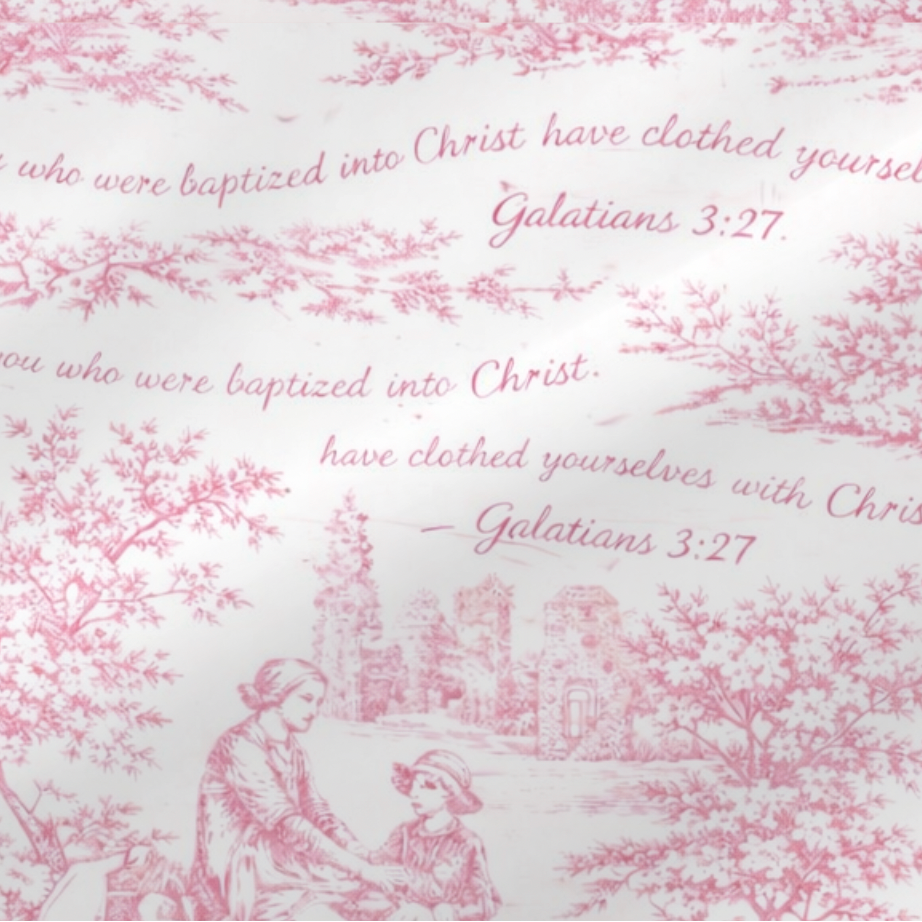 Clothed in Christ | Pink Toile de Jouy